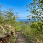 Jogging and trekking